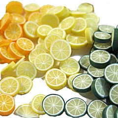 Image of Citrus Slices